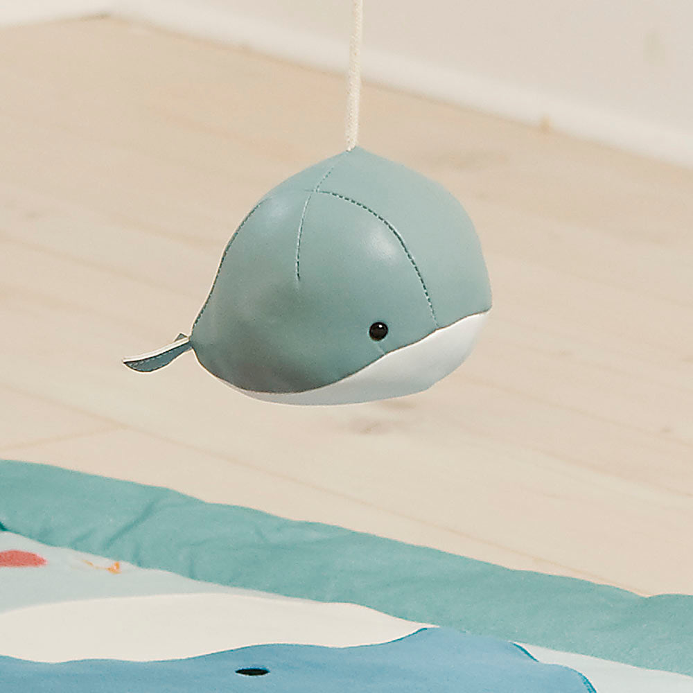 קשת פעילות מעץ - אוקיינוס