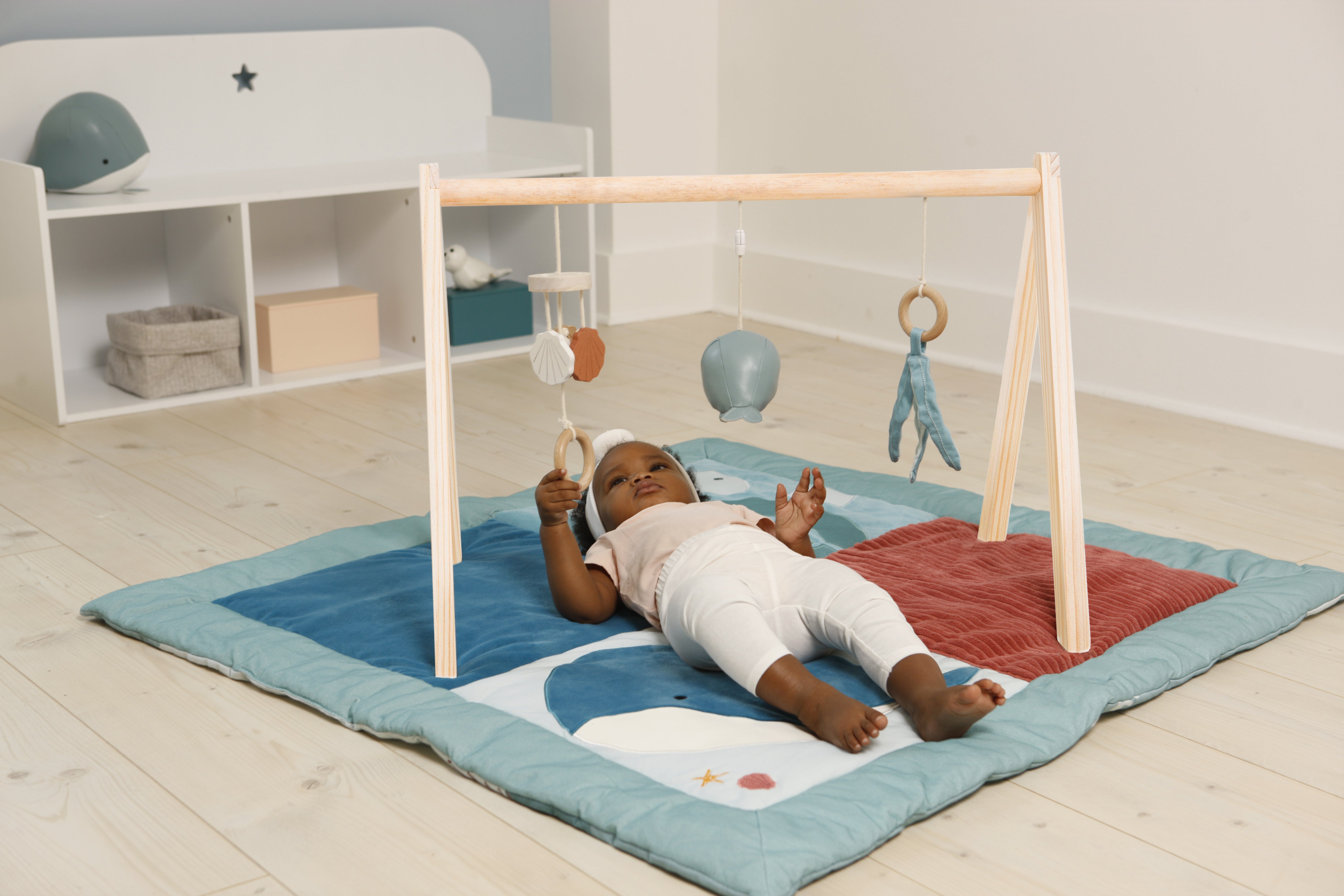 קשת פעילות מעץ - אוקיינוס